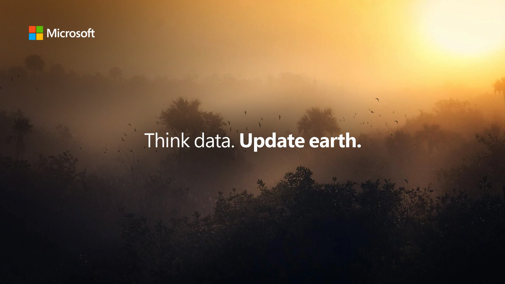 Microsoft – Think Data. Update Earth – image 4