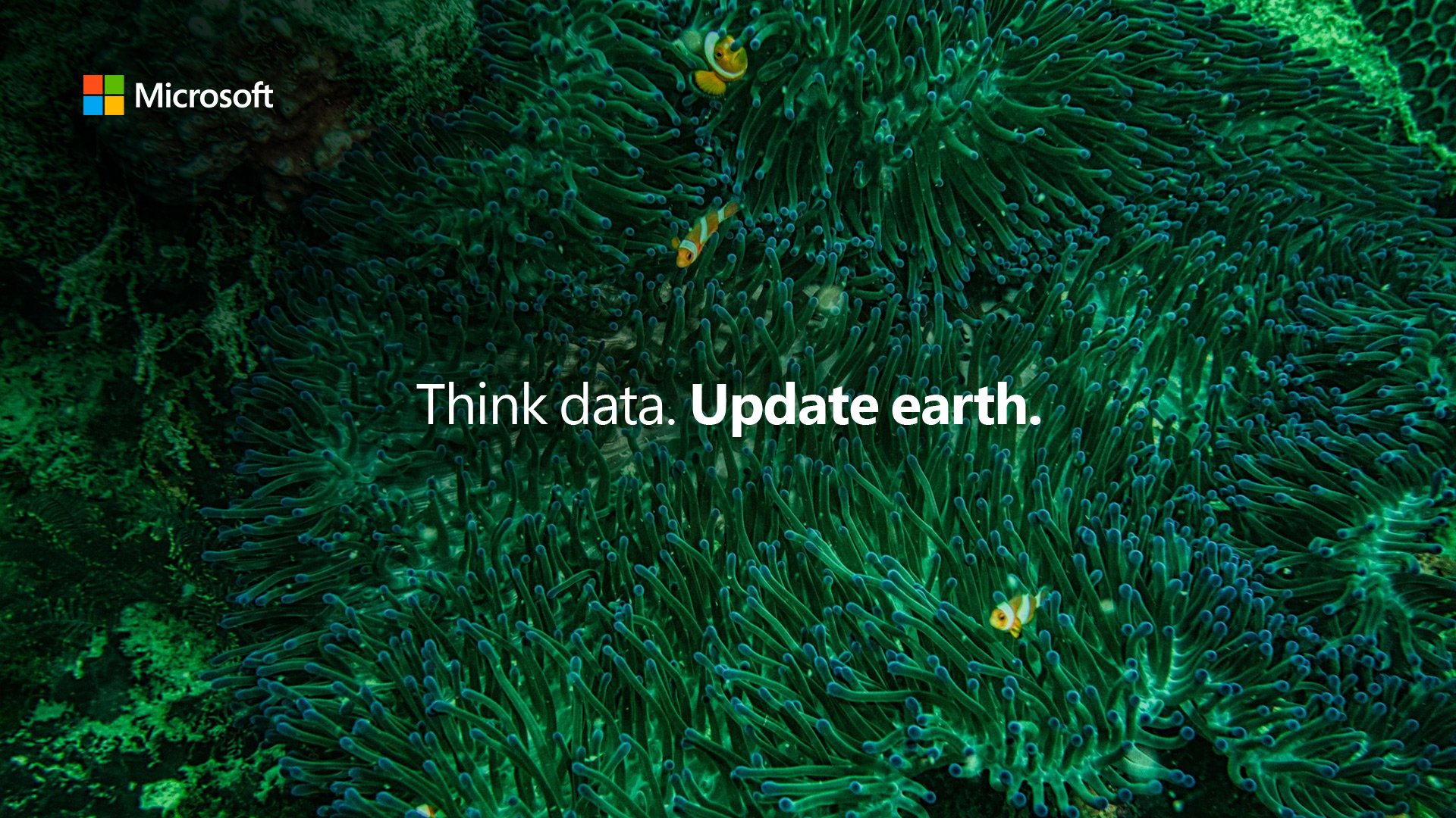 Microsoft – Think Data. Update Earth – image 2