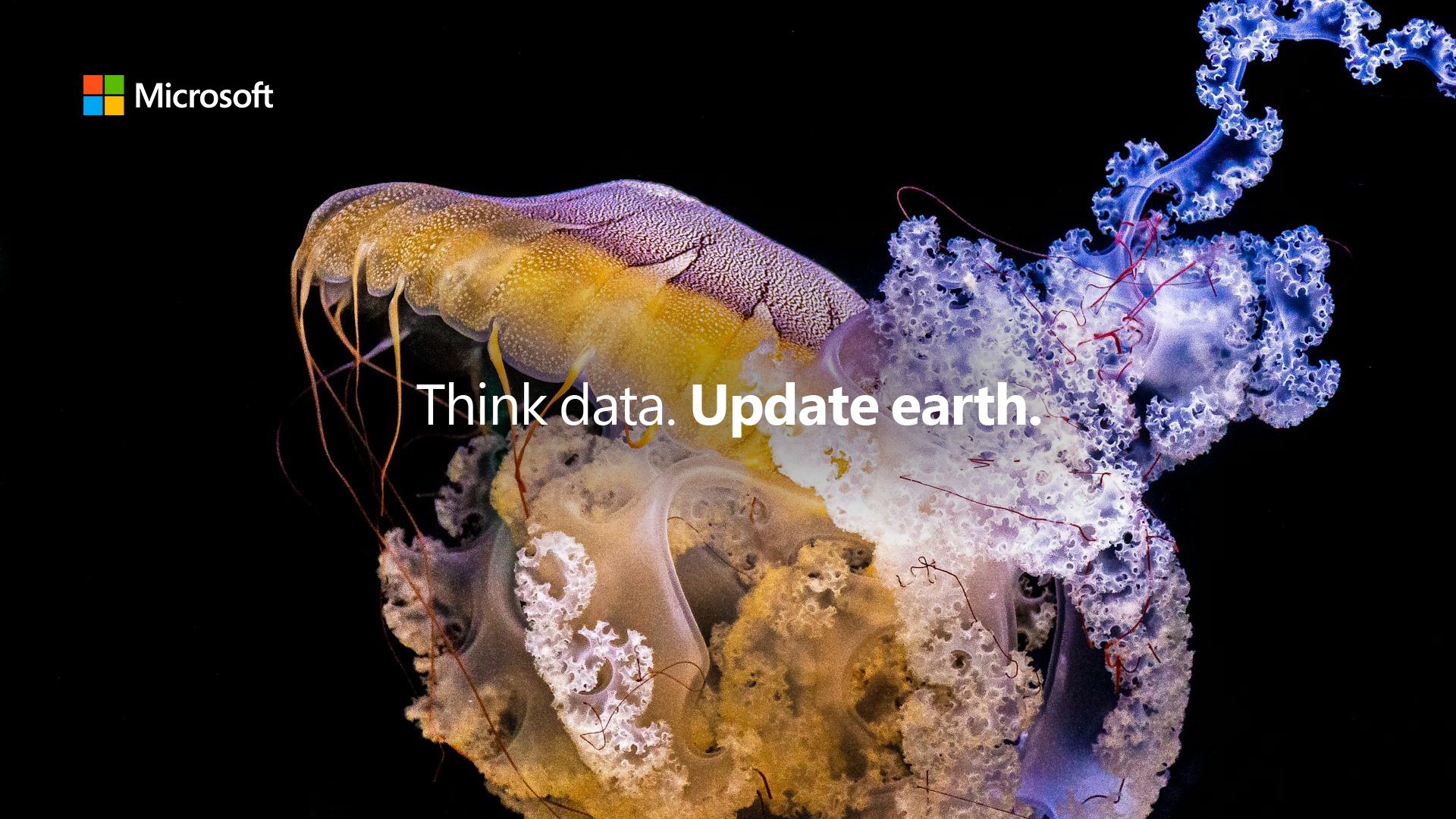 Microsoft – Think Data. Update Earth – image 3